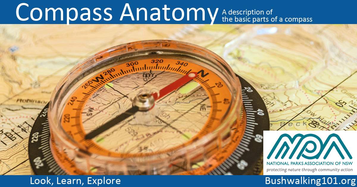 Compass Anatomy Bushwalking 101